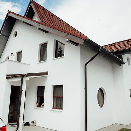 Autentic Adorabil Apartment Albestii Paminteni 외부 사진