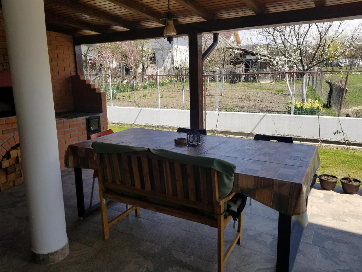 Autentic Adorabil Apartment Albestii Paminteni 외부 사진