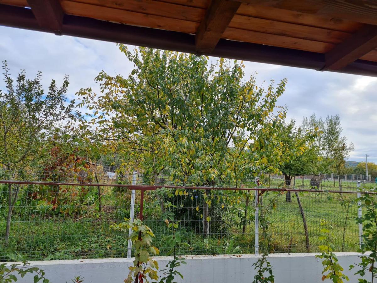 Autentic Adorabil Apartment Albestii Paminteni 외부 사진